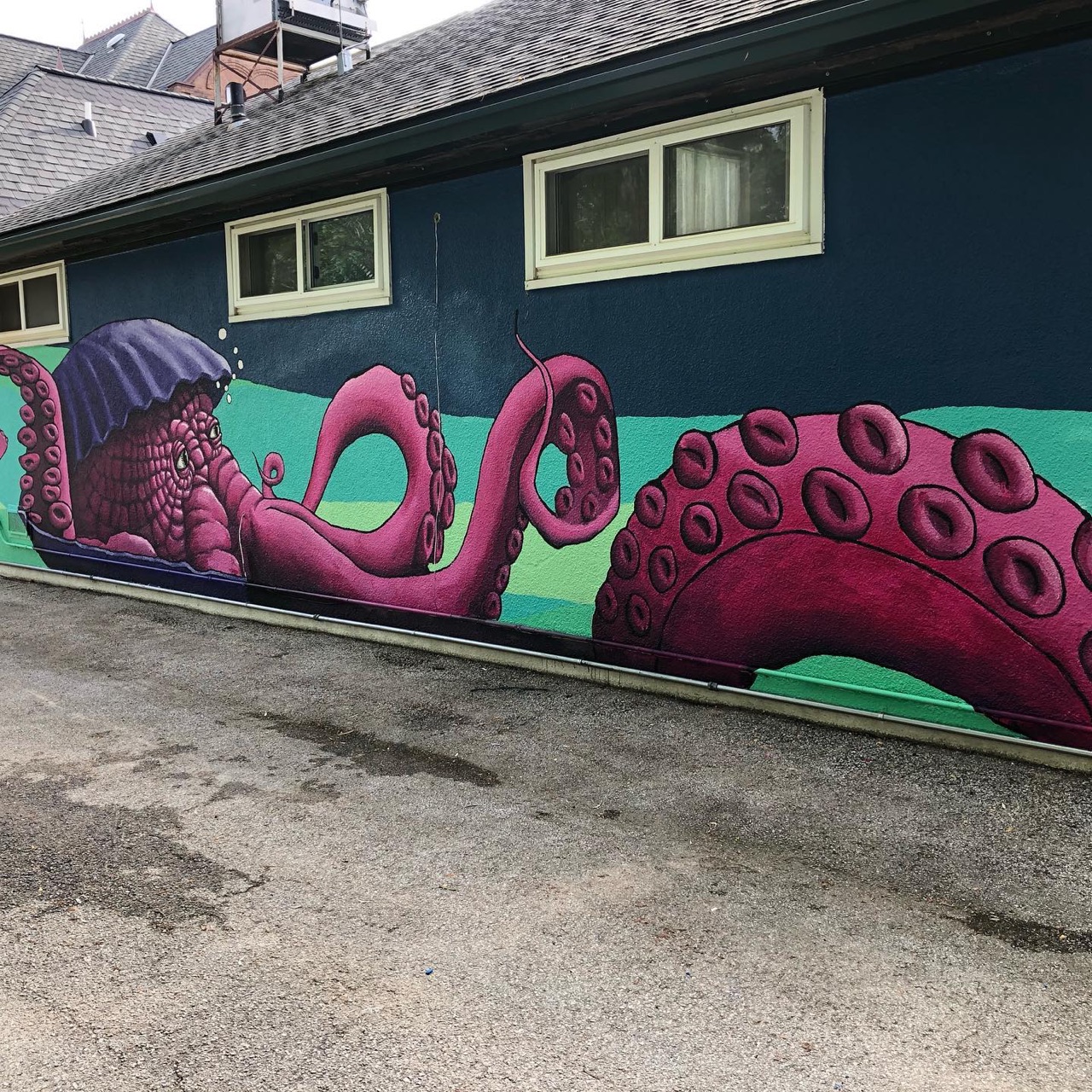 Some photographs of our completed #mural in cityofmanitowoc