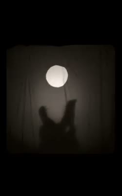 Thank you to those who came out to Yonder last night for New Moon…