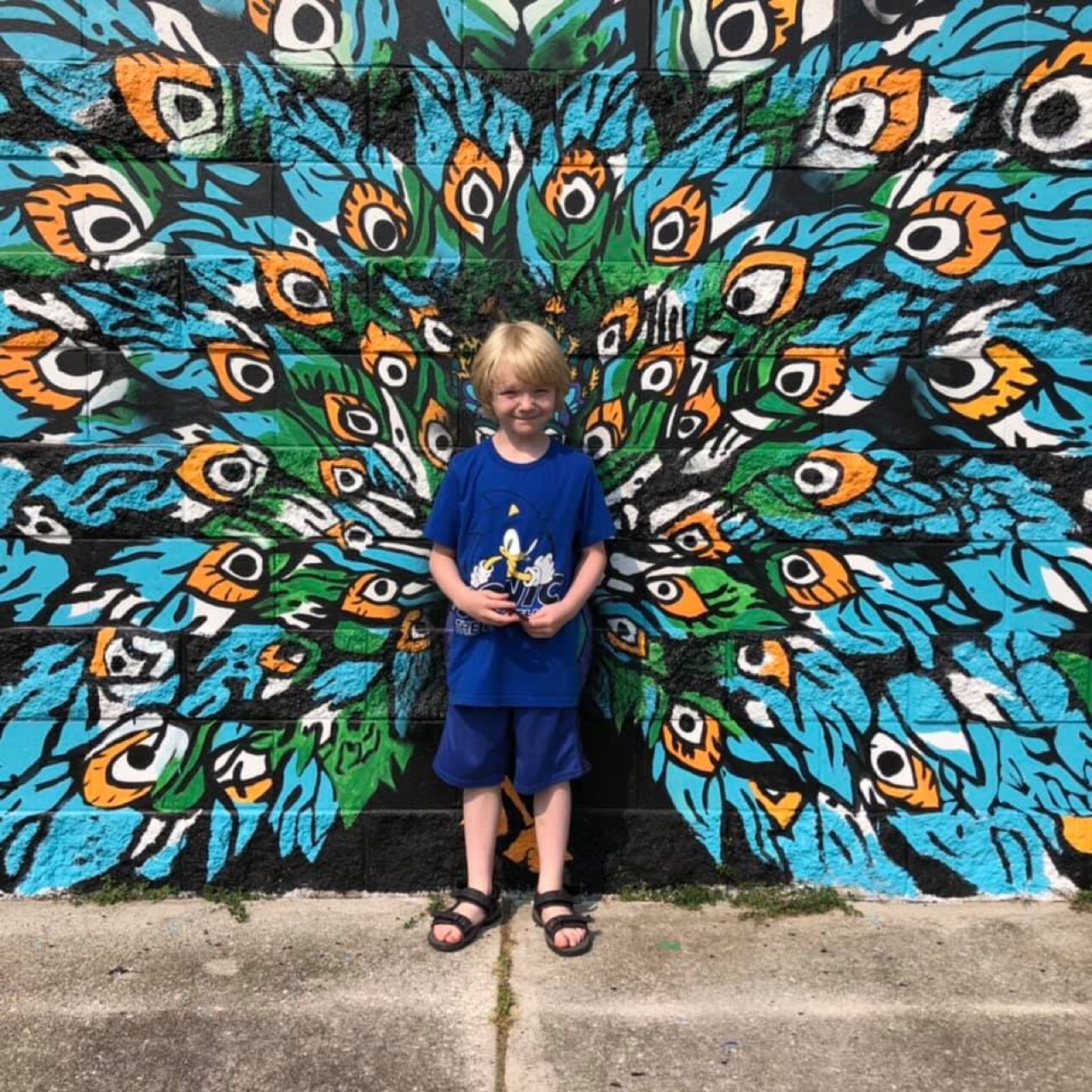 You tagged David Carpenter and Rachelle Pollen Our first peacock!❤️🦚✨📸…