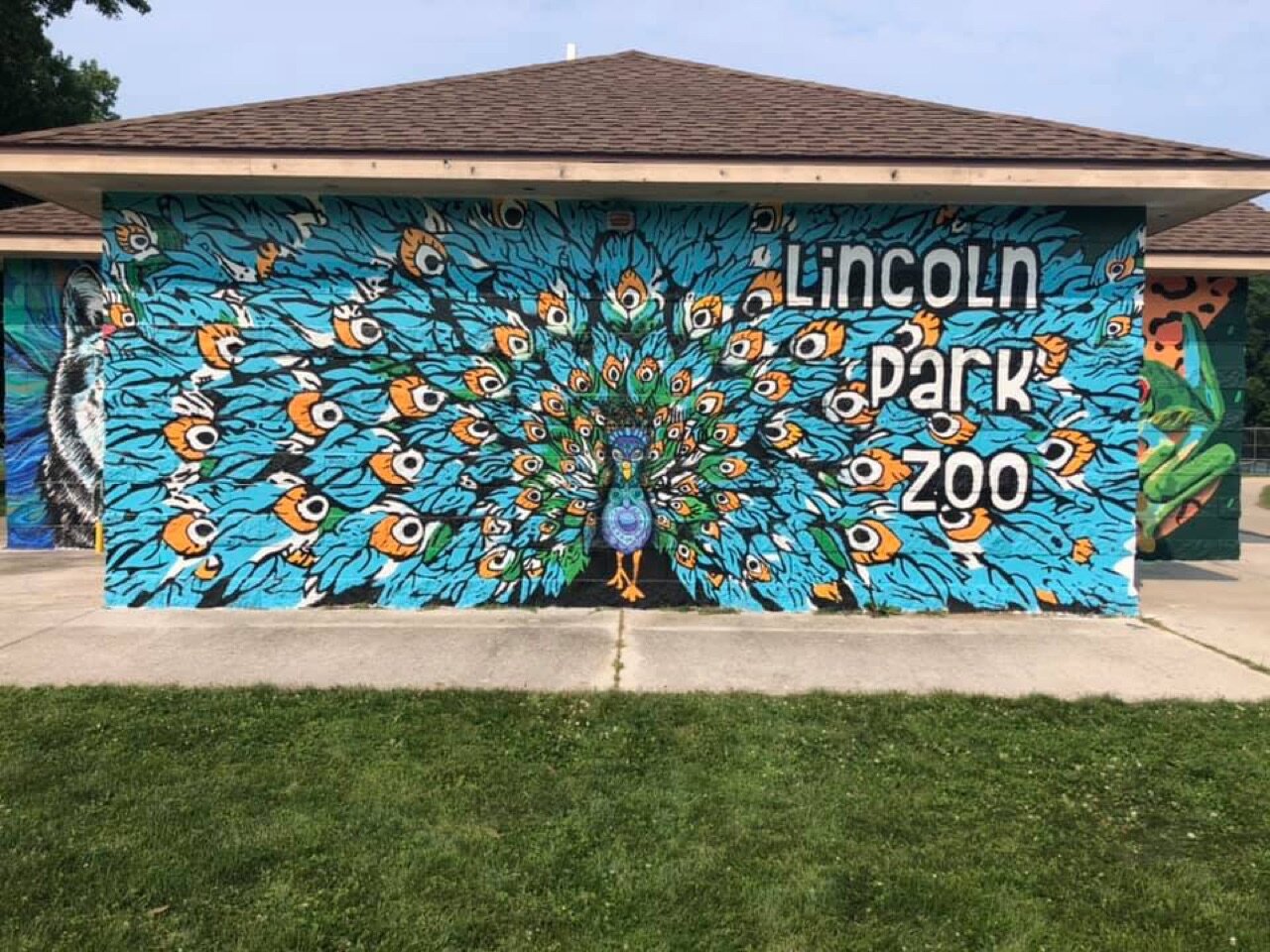 You tagged David Carpenter and Rachelle Pollen Our first peacock!❤️🦚✨📸…