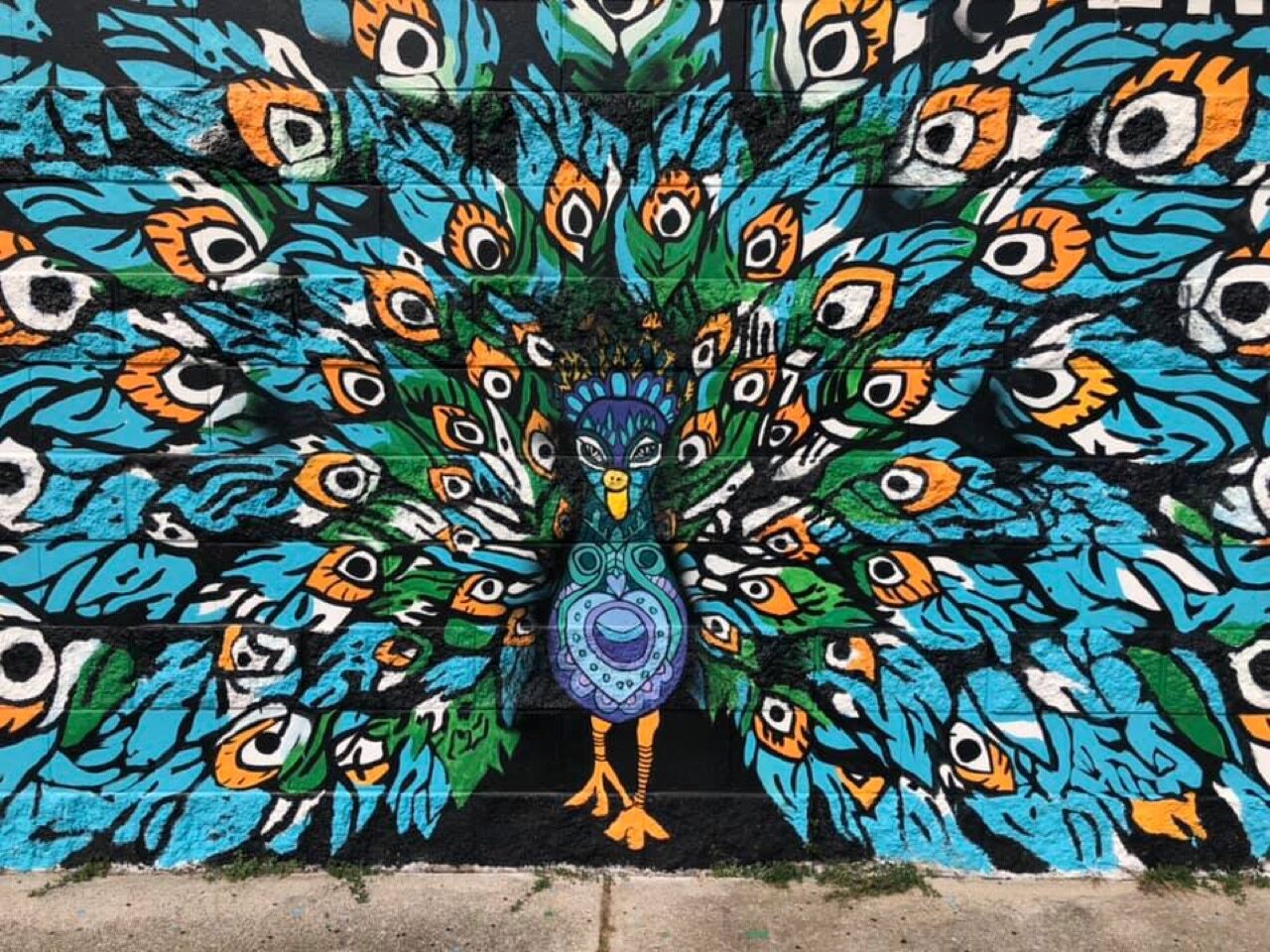 You tagged David Carpenter and Rachelle Pollen Our first peacock!❤️🦚✨📸…