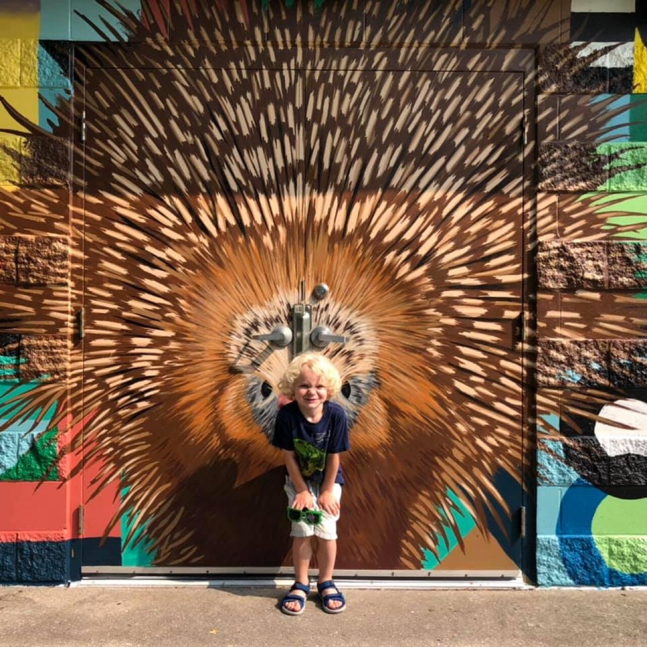 You tagged David Carpenter and Rachelle Pollen Our first peacock!❤️🦚✨📸…
