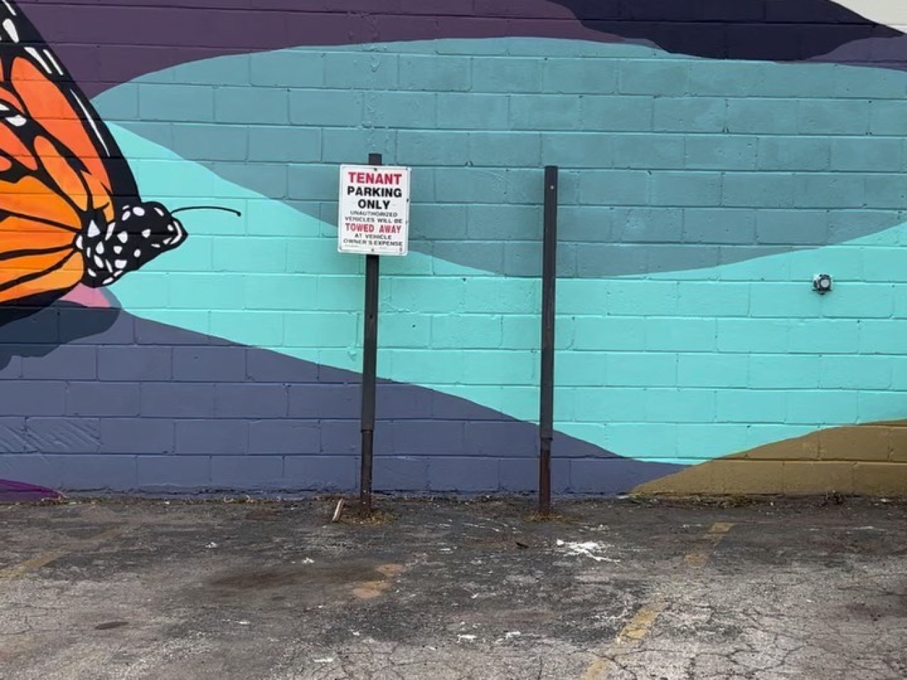 We were lucky enough to get to paint one of ten walls in the Green Bay…