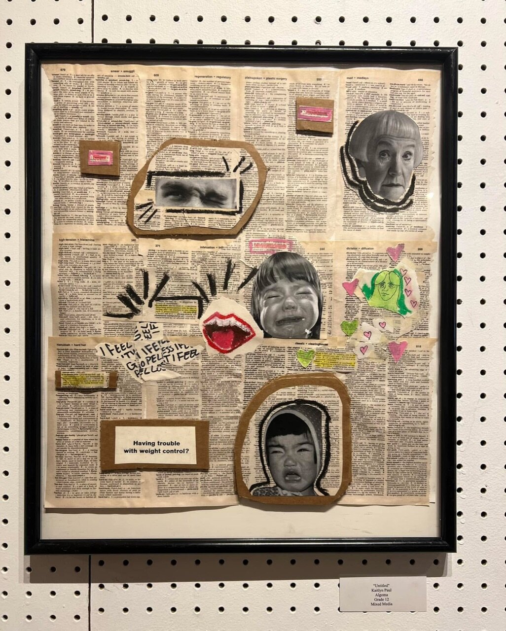 Algoma High School senior, Kaitlyn Paul, put together this awesome…