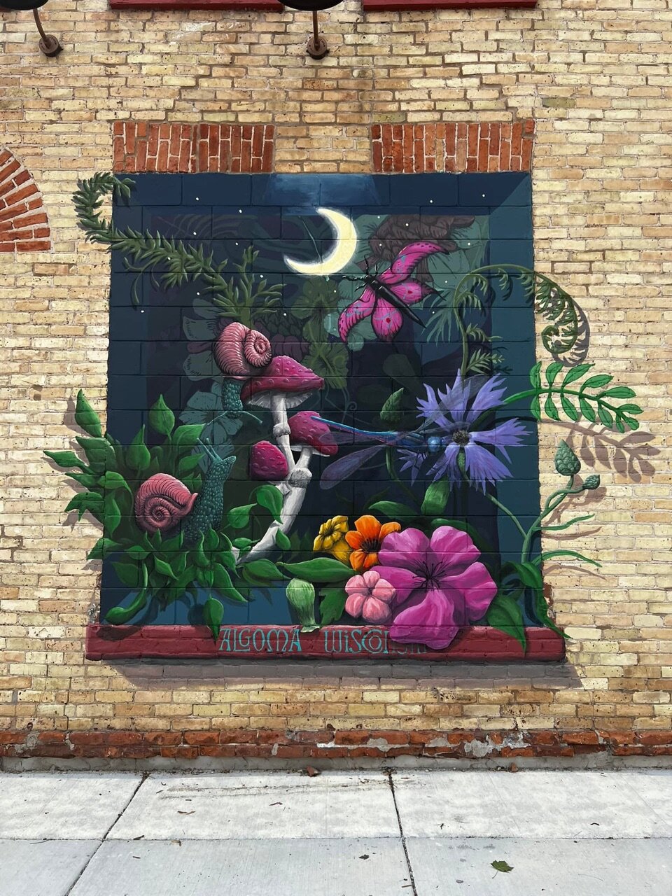 Stargazing✨ We finished up this magical little mural today✨.