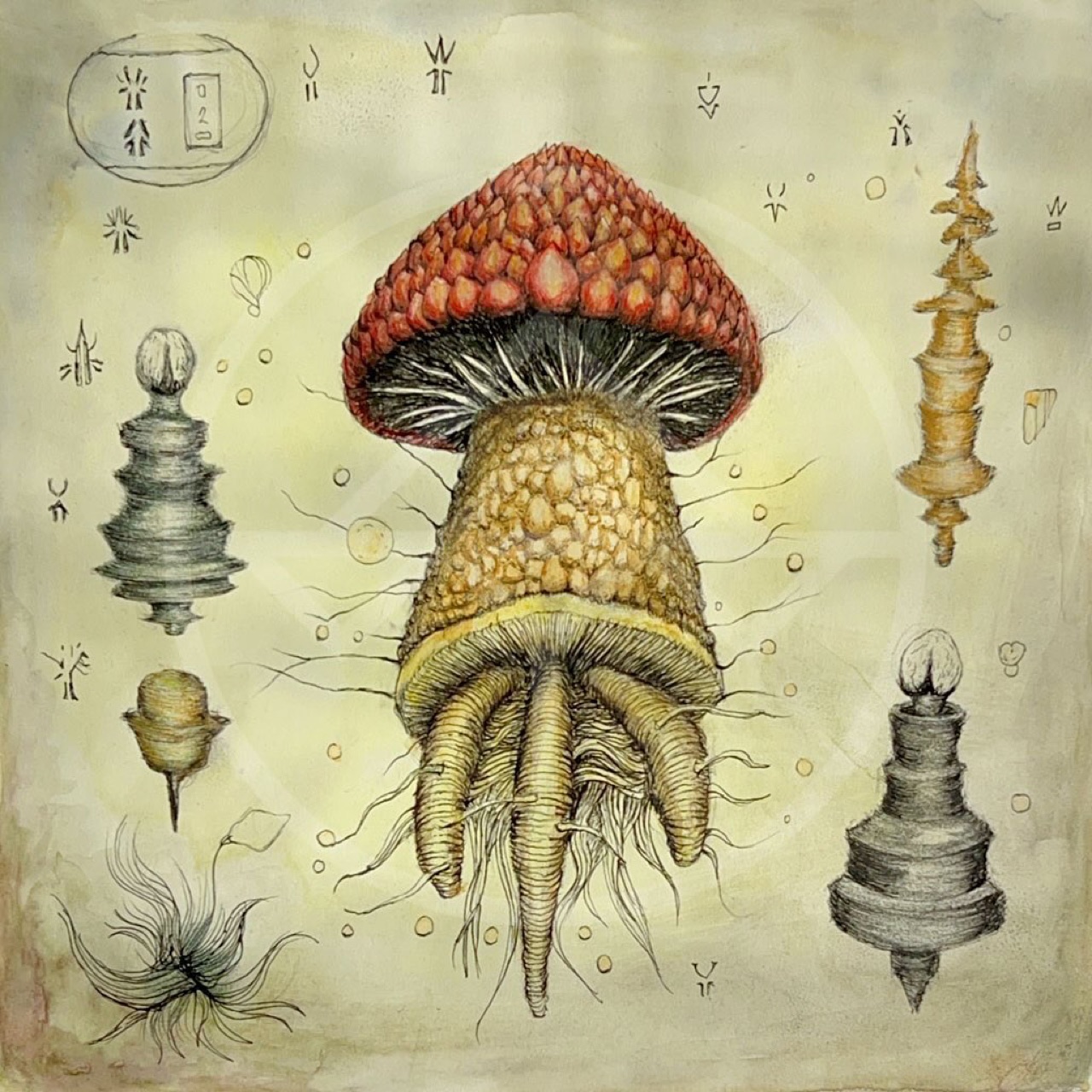 I have been working on a new series of drawings and this is the second…