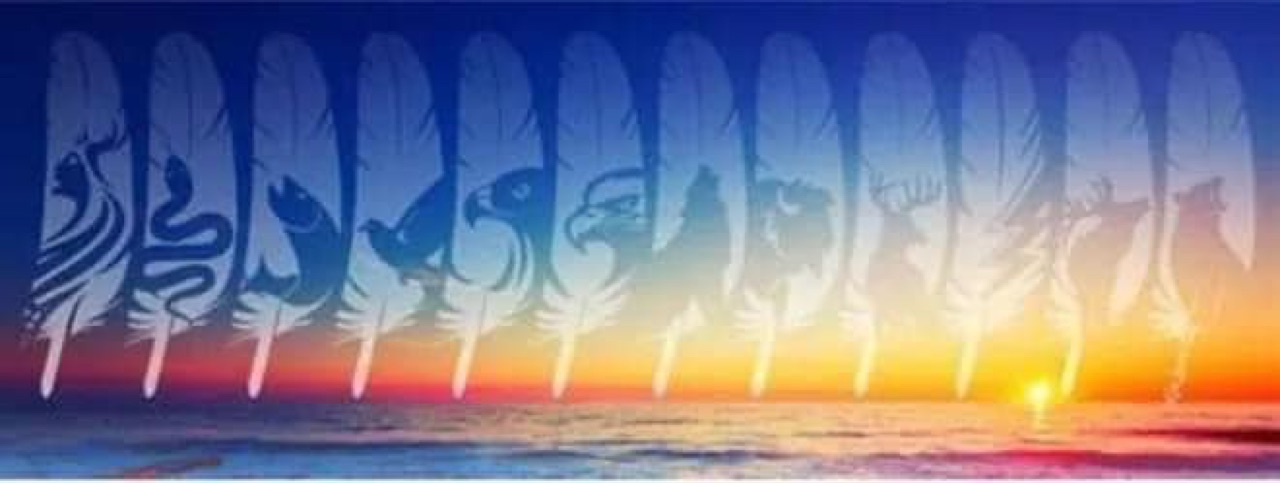 Ken Lewis’s 12 Feather Design Paint by number mural Join us tomorrow…