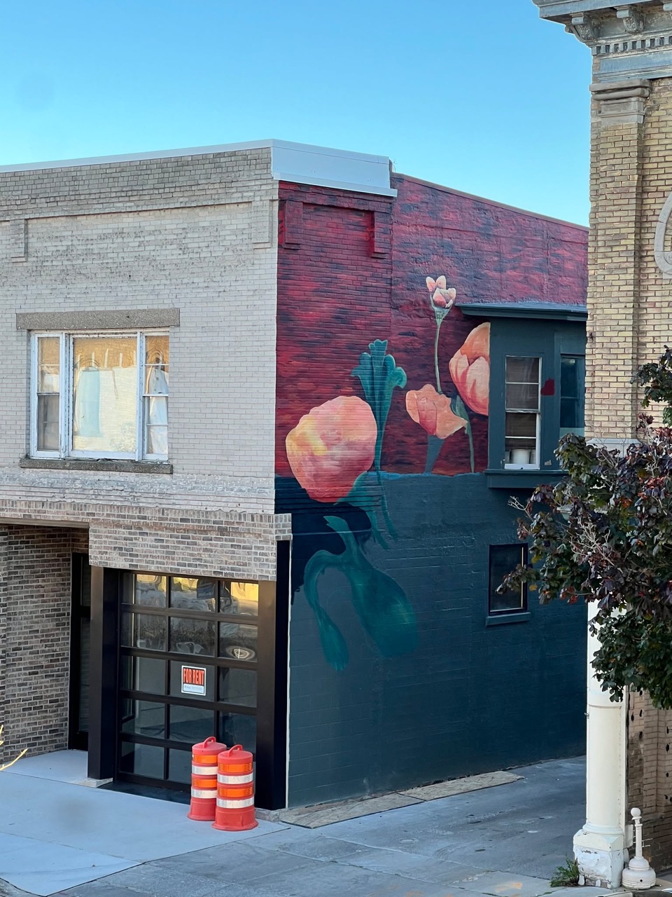 You can see our latest mural from our kitchen window.