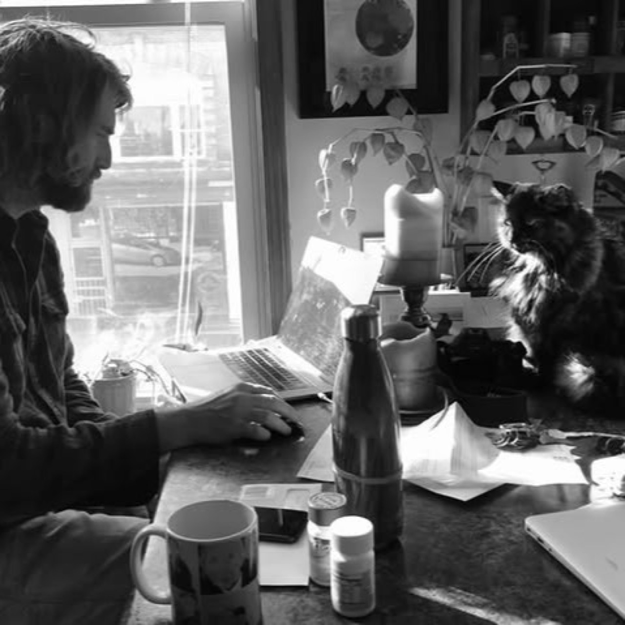 This is a tribute to our beloved gallery cat, Gertie.