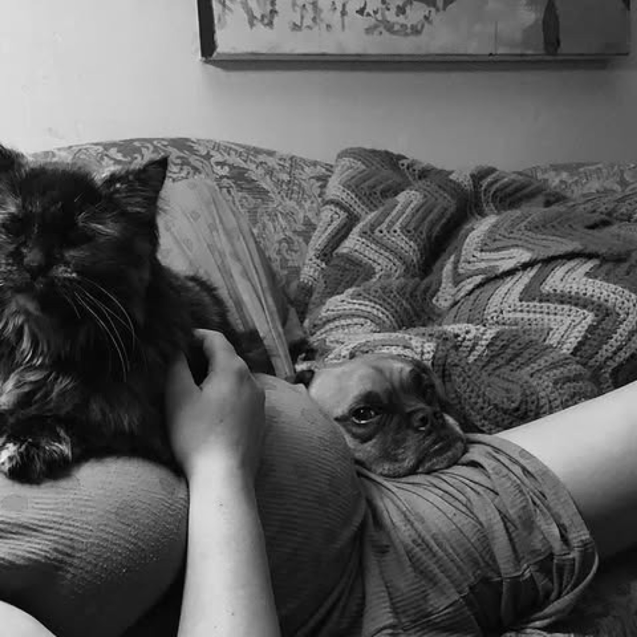 This is a tribute to our beloved gallery cat, Gertie.