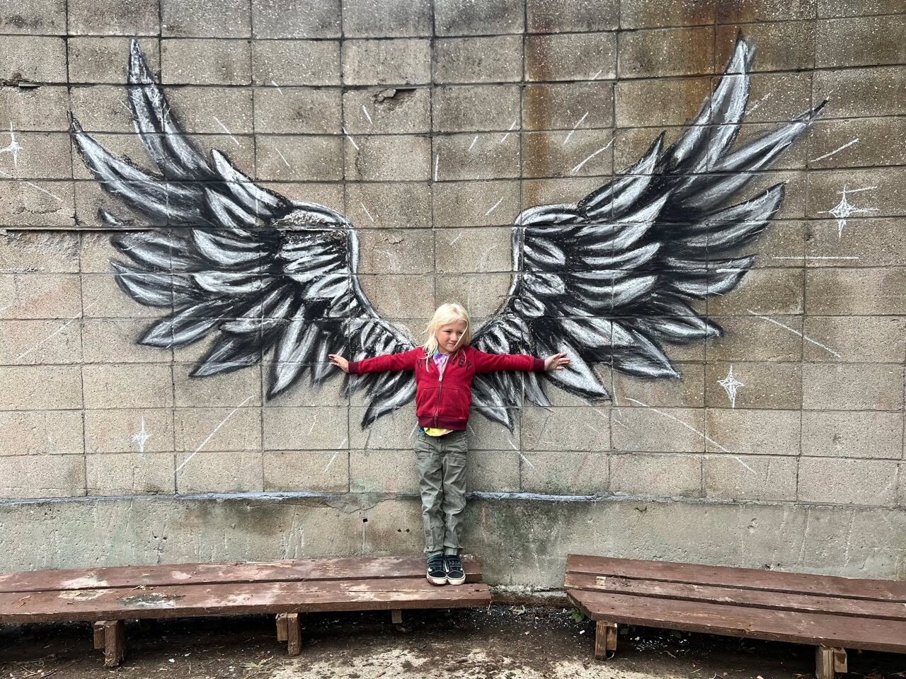 A beautiful day to pop down to Wilson's Wish Fall on the Farm and try…