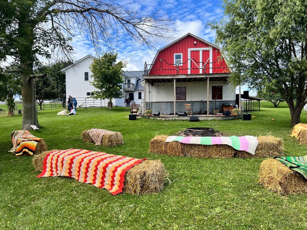 A beautiful day to pop down to Wilson's Wish Fall on the Farm and try…
