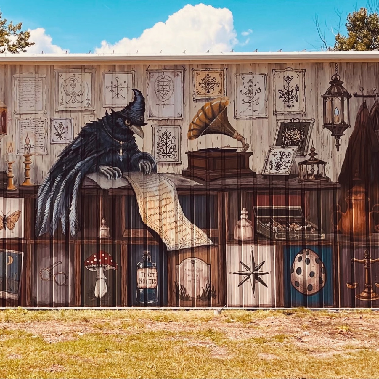 The Cabinet of Curiosities