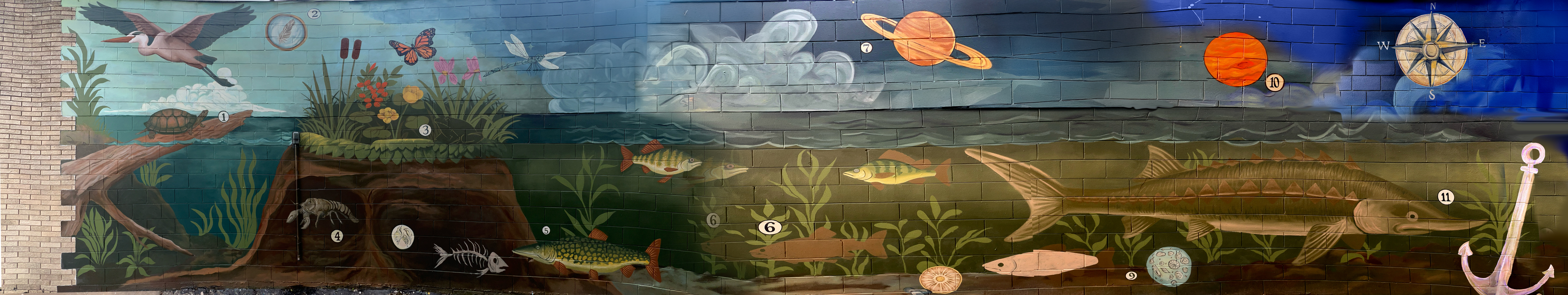 A painted freshwater estuary in downtown Algoma: a cross-section from the riverbed up through the water and shoreline into a night sky of planets and a compass rose.