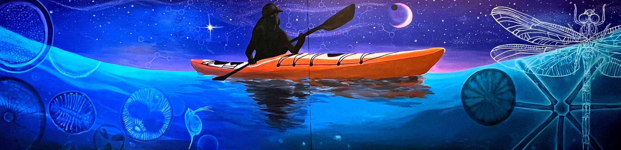A painted night scene of Lake Michigan: a kayaker on dark water beneath a crescent moon and constellations, ringed by microscopic plankton, glass diatoms, molecular structures, and a dragonfly drawn in luminous line.