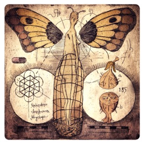 Micro Fauna — Specimen VI