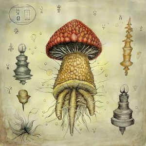 Terra Incognita II